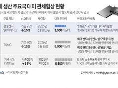 반도체 생산 주요국 대미 관세협상 현황