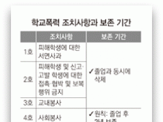대학 입시 학교폭력 의무 반영, 실효성 있는 대안일까?