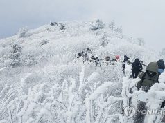 겨울 왕국 변신한 덕유산