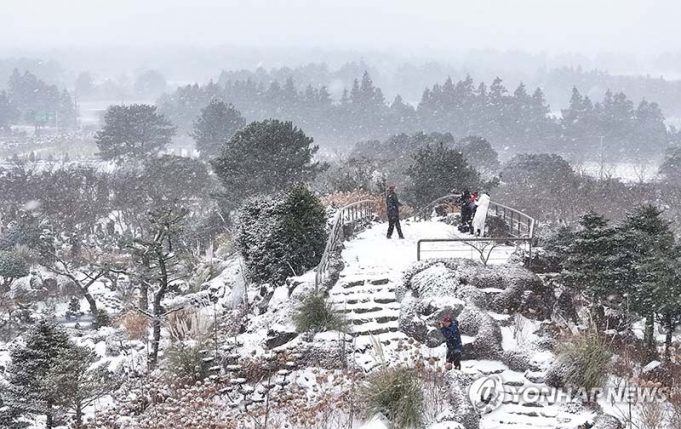 폭설 쏟아지는 제주 중산간