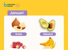 2026년 새해, 제철 과일로 ‘현실적인 건강 결심’ 시작해보자