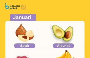 2026년 새해, 제철 과일로 ‘현실적인 건강 결심’ 시작해보자