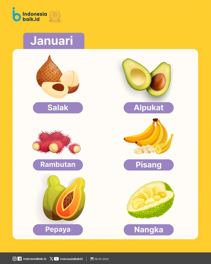 2026년 새해, 제철 과일로 ‘현실적인 건강 결심’ 시작해보자