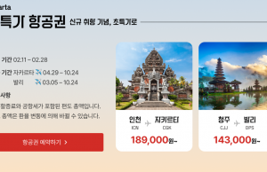 티웨이항공, 인천-자카르타 정기편 4월 29일 첫 취항… “편도 총액 18만 9천 원부터”