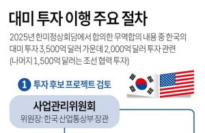 대미 투자 이행 주요 절차