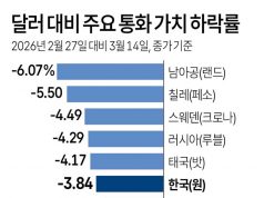 달러 대비 주요 통화 가치 하락률