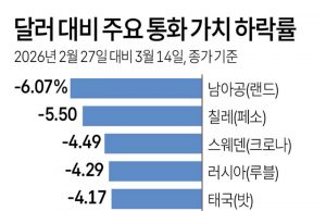 달러 대비 주요 통화 가치 하락률