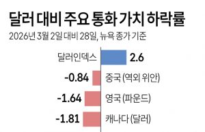 달러 대비 주요 통화 가치 하락률