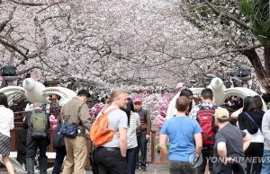 ‘K-벚꽃’ 진해군항제 개막