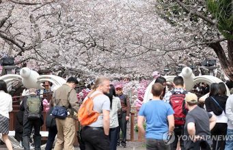 ‘K-벚꽃’ 진해군항제 개막