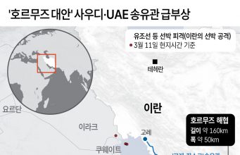 프랑스 주도 35개국 합참의장, 호르무즈 논의…韓도 참여