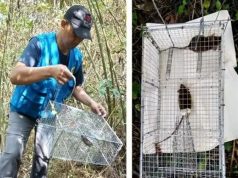 인도네시아 국립연구혁신청, “페스트 재발 가능성 배제 못해”…’침묵기’ 경고 발령