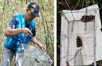 인도네시아 국립연구혁신청, “페스트 재발 가능성 배제 못해”…’침묵기’ 경고 발령