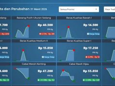 전국 식품 가격 동향: 고추·육류·계란 하락세… 쌀은 안정 유지
