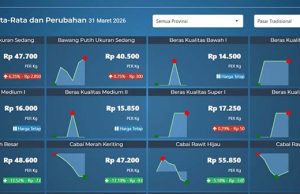 전국 식품 가격 동향: 고추·육류·계란 하락세… 쌀은 안정 유지
