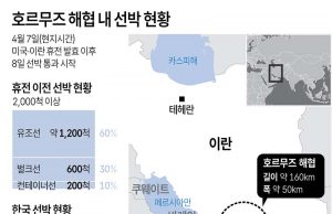 호르무즈 해협 내 선박 현황
