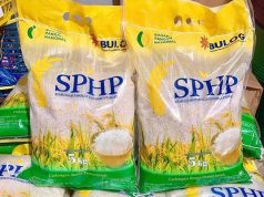 글로벌 플라스틱 대란 우려 속 조달청 Bulog, “쌀 포장재 재고 이상 무”