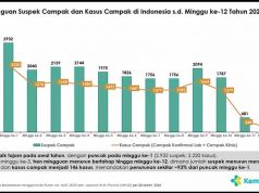보건부, 홍역 환자 93% 감소 발표… 의료진 보호 강화 및 지속적 경계 촉구
