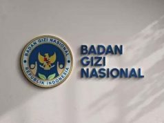 국가영양청, 태블릿부터 구두약에 6조 3,100억 루피아 예산 편성 논란