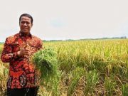 농업부 장관 “쌀 비축량 460만 톤 역대 최고치… 지정학적 불안·엘니뇨에도 식량 안보 굳건”