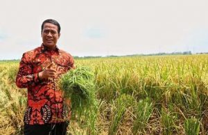 농업부 장관 “쌀 비축량 460만 톤 역대 최고치… 지정학적 불안·엘니뇨에도 식량 안보 굳건”