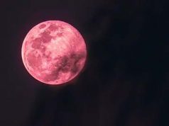 “핑크 문” 현상, 4월 1일 수요일 밤 관측