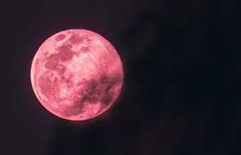 “핑크 문” 현상, 4월 1일 수요일 밤 관측