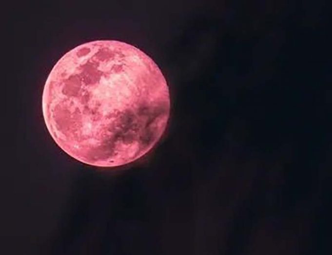 “핑크 문” 현상, 4월 1일 수요일 밤 관측