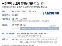 삼성전자 반도체 특별경영성과급 주요 내용