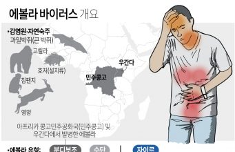 에볼라 바이러스 개요