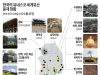 한국의 유네스코 세계유산 등재 현황