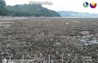 필리핀 강진으로 해저 2m 상승…산호초 물밖으로 드러나