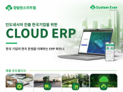 인도네시아 ERP 구축부터 운영까지 One-Stop으로, System Ever Indonesia.