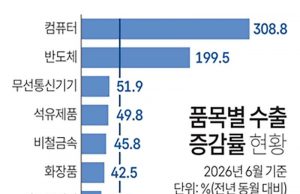 품목별 수출 증감률 현황