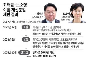 최태원-노소영 이혼·재산분할 재판 결과