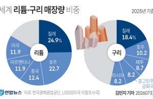 세계 리튬·구리 매장량 비중