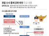 경찰 수사 통제 강화 방안 주요 내용