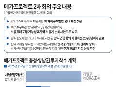 메가프로젝트 2차 회의 주요 내용