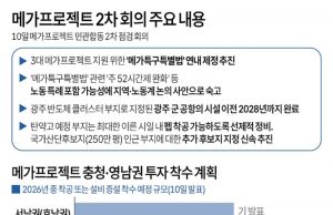 메가프로젝트 2차 회의 주요 내용