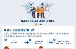 재외국민 119응급의료상담 누적 2만3천건…”적극 활용해달라”