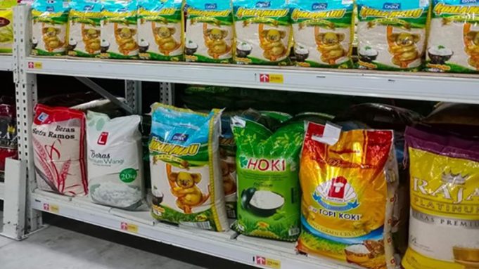 “곳간 차고 수출도 한다는데…” 마트서 5kg 프리미엄 쌀 사라진 까닭